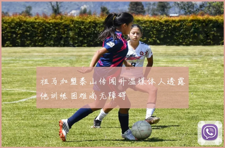 祖马加盟泰山传闻升温媒体人透露他训练困难尚无障碍